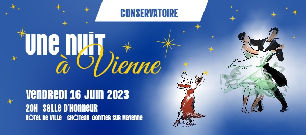 Une nuit à Vienne